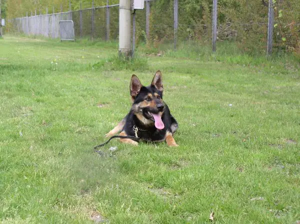 Evi van the Seven Bridges Road