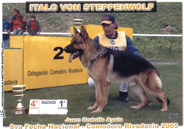 ARG - Italo Von Steppenwolf