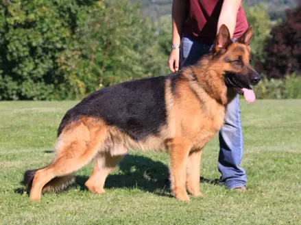 V Vauxhall vom Hohlen Huegel