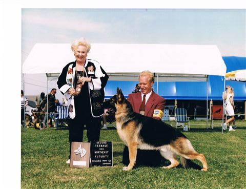 Darby-Dan's Montecristo