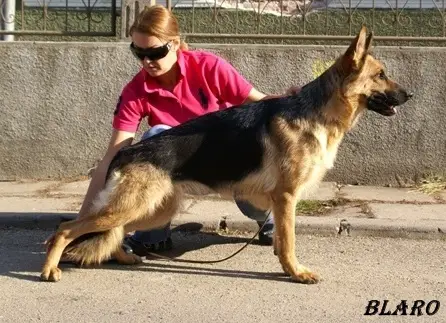 Millagros von Bienenwald