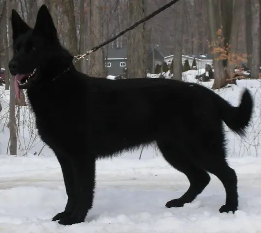 Gaya aus dem Tempel der Ceres