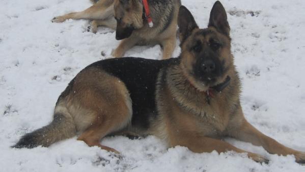 Heidi Von Striano Jr