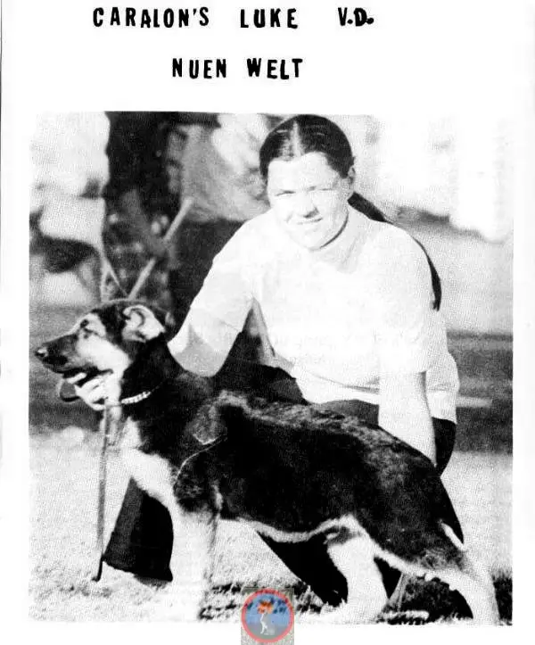 Caralon's Luke von der Neuen Welt