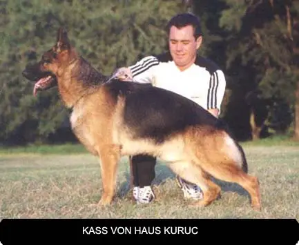 Kass Von Haus Kuruc