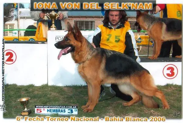 Iona von del selk`nam