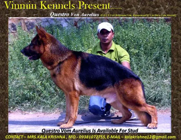 Questro von Aurelius