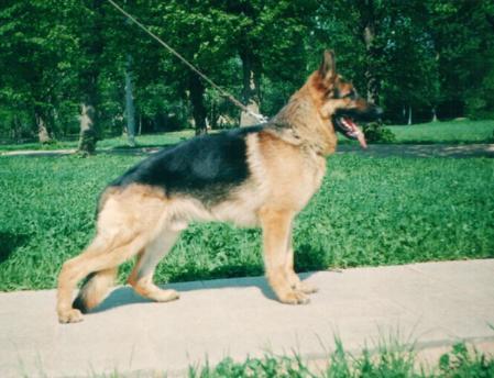 V(FIN) Mucky von Tronje