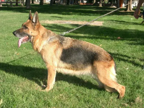 Cora De Extrecan