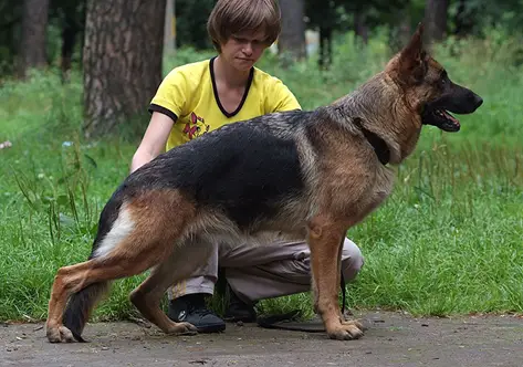 CH.RUS Evil Forkas Pauletta