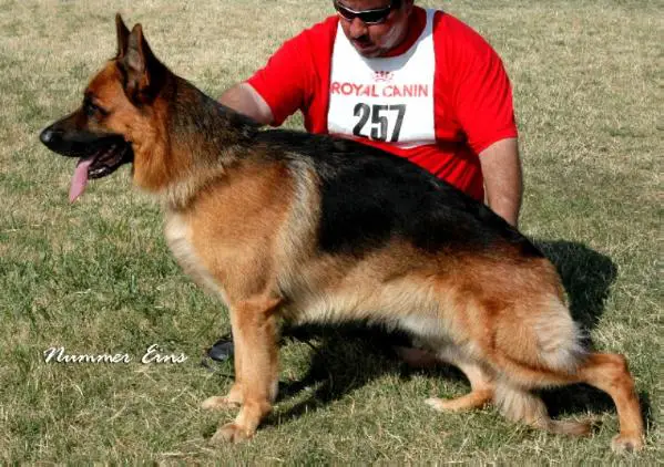 V3 (WDA) Ivan von Huerta Hof