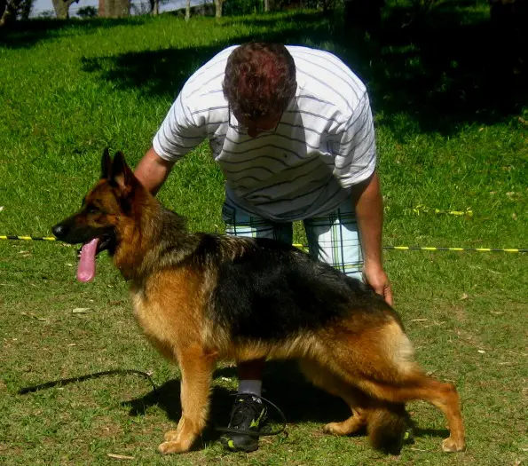 Lenni vom Geixenhof