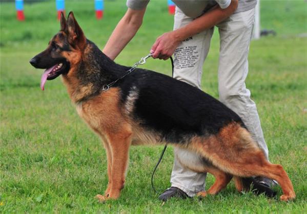 V CH UA Igl Bi Sevan