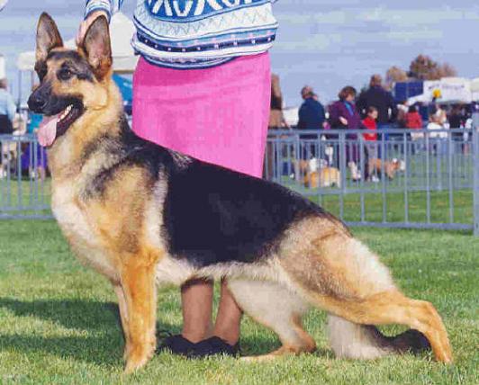 CH INT/CAN Bedkar's Theresa Jo