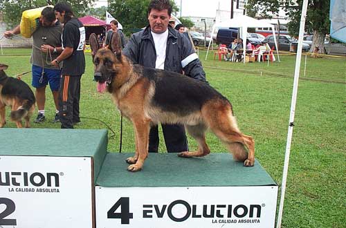 Axon Von Kisman