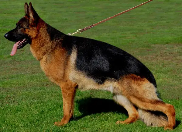 Uras vom Altenberger Land