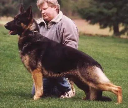 Fairways In The Ruff Bodega