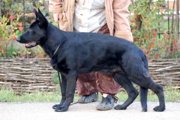 Zilber Wasserfall Dizaer