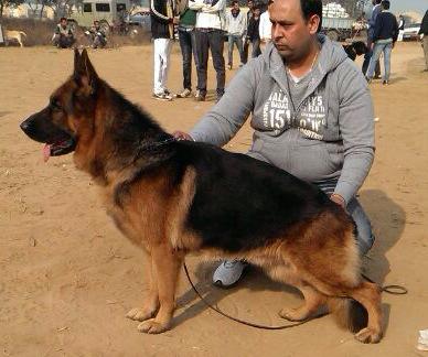 Alix von Haus Shergill