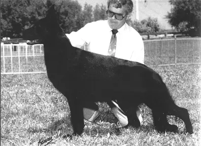 Asgard's Ash-Lee Of Sunnybee