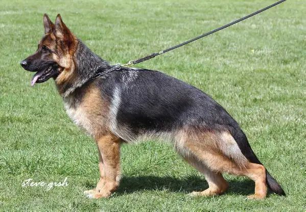 V Maxima von der Bärenschlucht