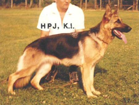 V Pecky aus Agrigento