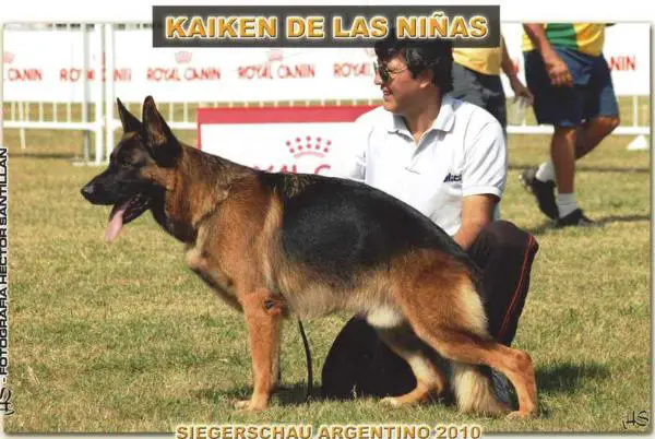 V3-SIEGER ARG. 2010 Kaiken De Las Niñas