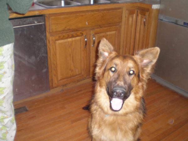 Unser Keno Von Himmlischetal