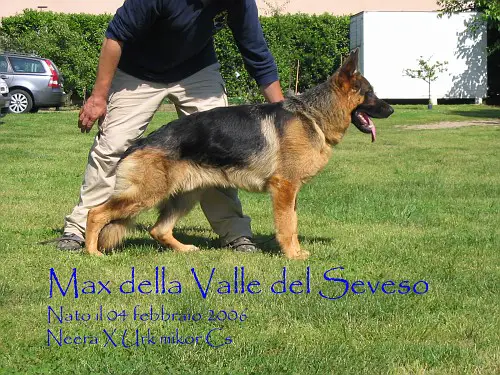 Max della Valle del seveso