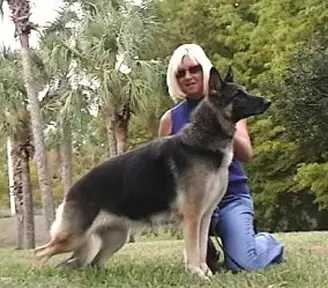 J-Lyn's Felony Windy Acres