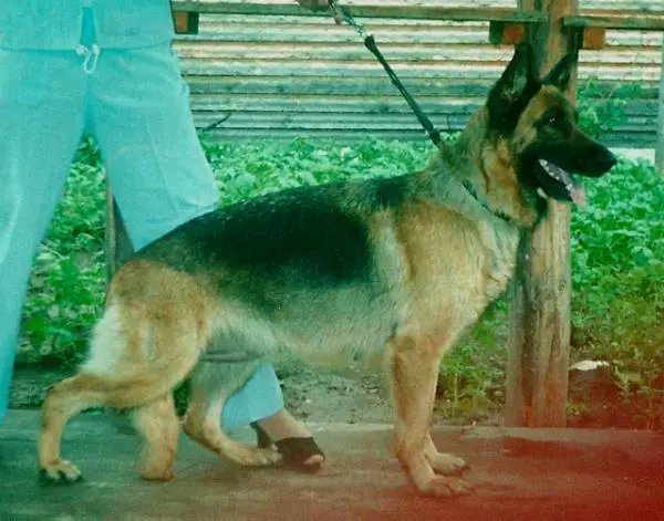 V(RUS) Nellke Russ Madonna