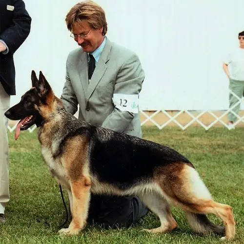 CH Kenlyn's Contessa V Kaleef