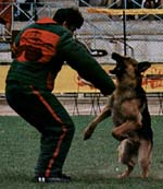 Sthil Du val des hurles vent