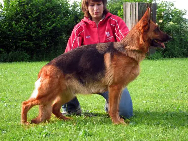 V Dana Piste Trophe 2002