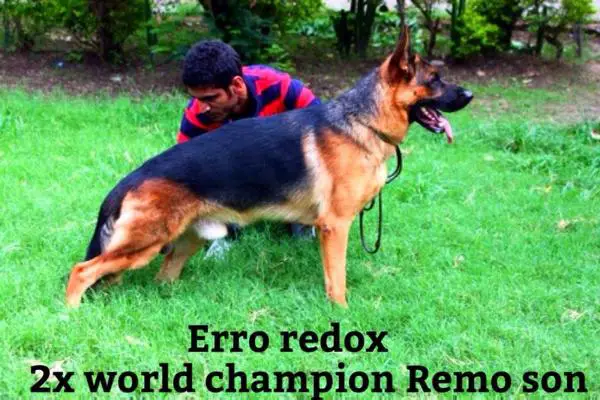 Erro Redox