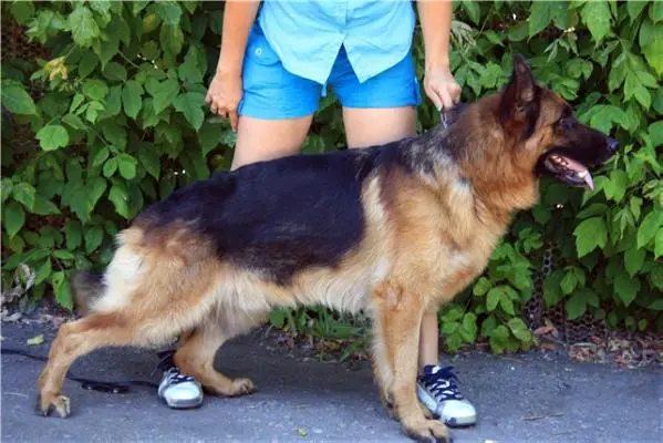 3XCAC Ched Resny Stile