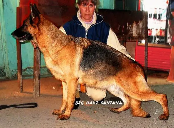 CH RUS, J CH RUS Big Hauz Santana