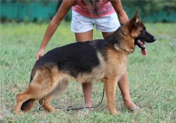 Strong and Soft Olesya