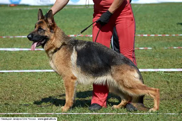 CH.RUS RKF Aufstieg Adelinda