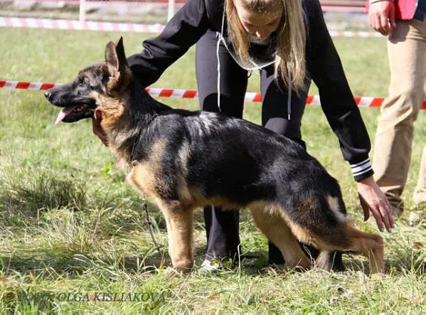 Maksa von Andri Lubenstrasse