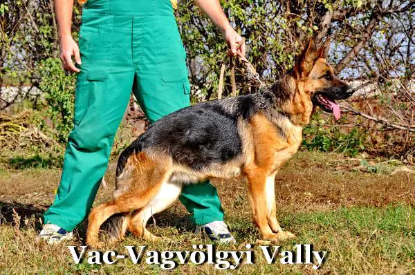 Vac-Vagvölgyi Vally