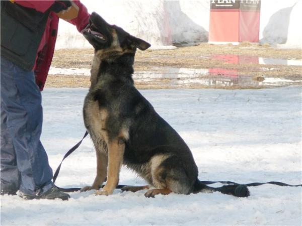 Odeta s Neresnicka Dolina