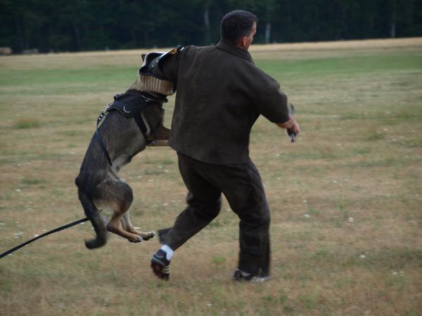 SG (JKL) Jekyll von Metunaj