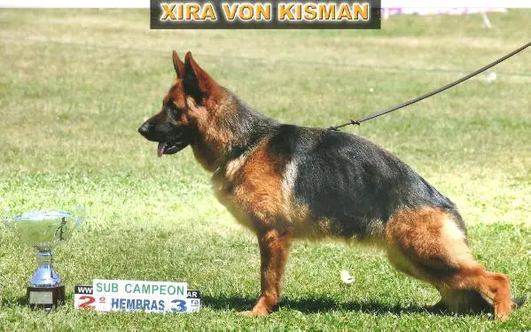 Xira von Kisman