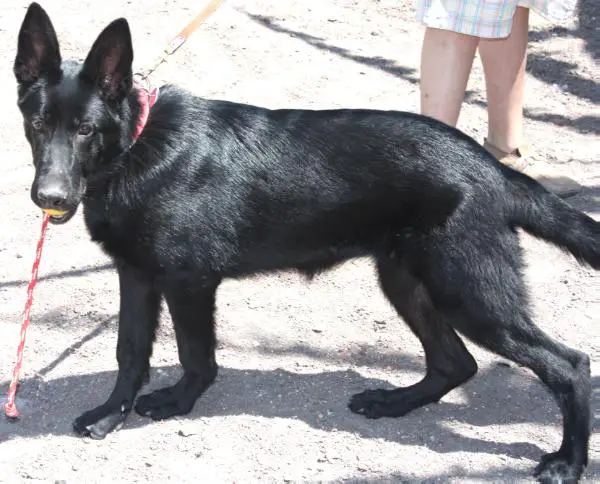 Kletta (Garcia) Mex. Fci.