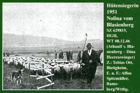 1951 HÜTESIEGERIN Nolina vom Blasienberg
