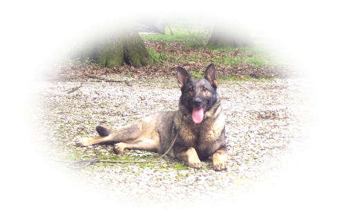 Nastasia vom Evermore