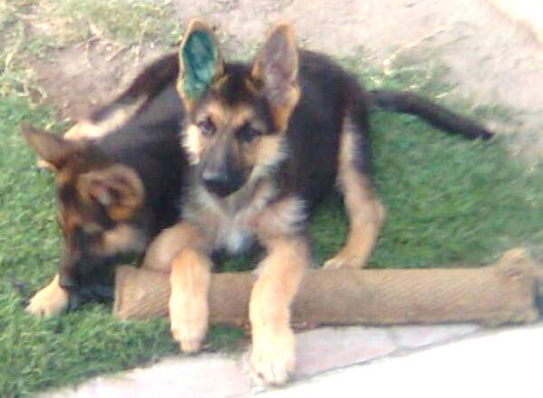 Cognac von der Manahaus