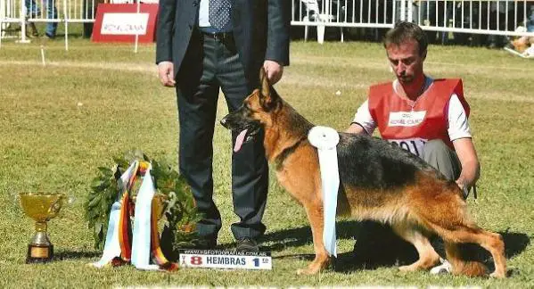 VA8 ARG 2012 Ghana Von Der Berthon