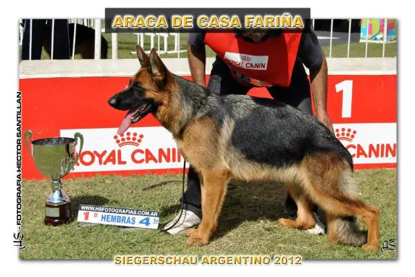 Araca De Casa Fariña
